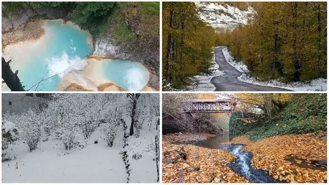 Four Scenic Nature Views