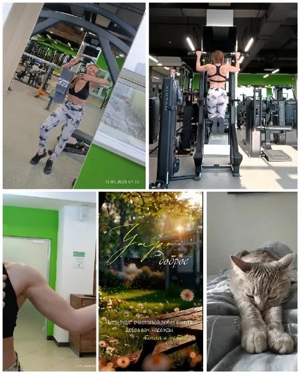 Gym Workouts and Cat Relaxation