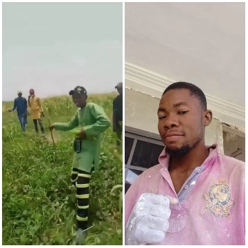 Agricultural Work and Indoor Painting