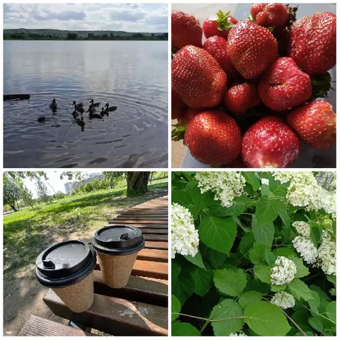 Nature and Food Close-Ups