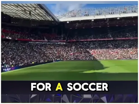 Crowd Cheering at Soccer Match