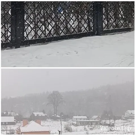 Snowy Landscapes with Houses