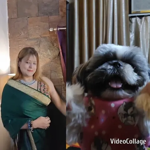 Person in Green Sari and Small Dog