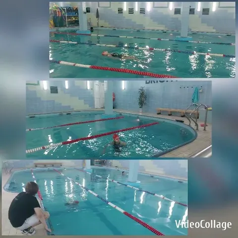 Swimming Pool Activities and Observations