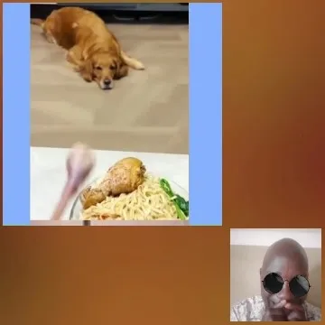 Dog, Food, and Reaction Shot