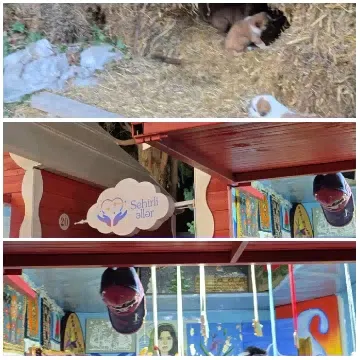 Animal Nestled in Straw