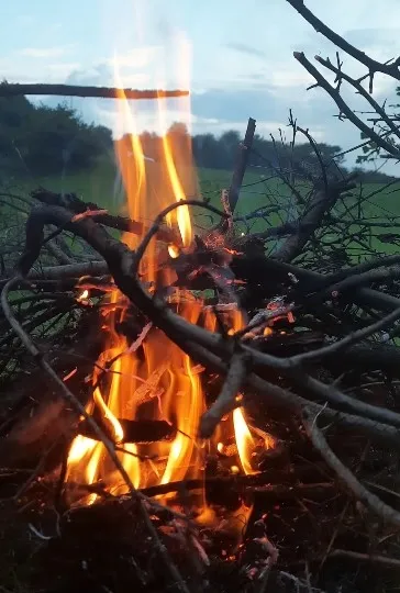 Campfire Set Outdoors