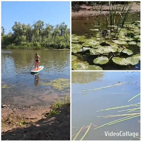 Paddleboarding and Calm Water Close-Ups