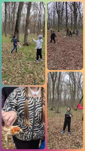 Playful Moments in Autumn Forest