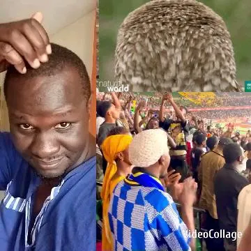 Smiling Man, Owl, Crowd Celebration