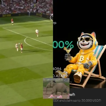 Soccer Match and Cartoon Character
