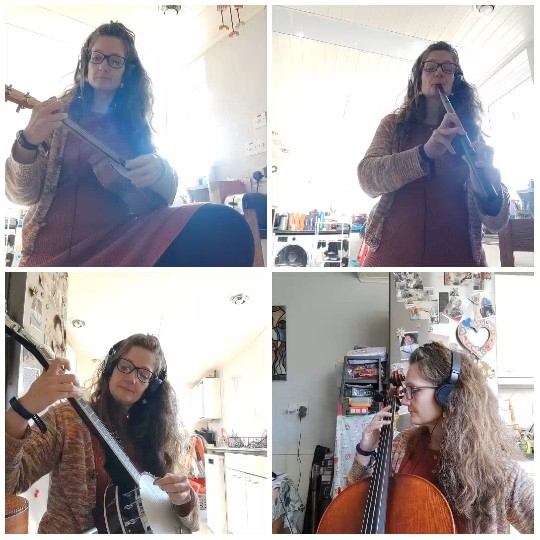 Musician Playing Various Instruments