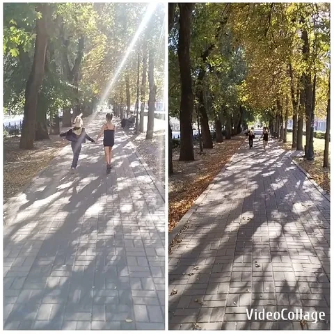 Pathway Surrounded by Autumn Leaves