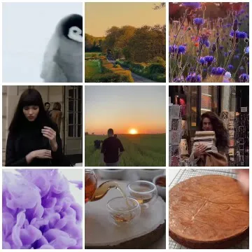 Various Scenes of Nature and Life