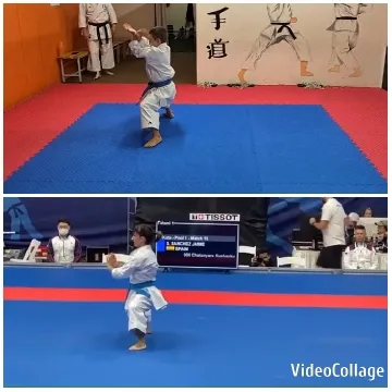 Kata Movements in Practice and Competition