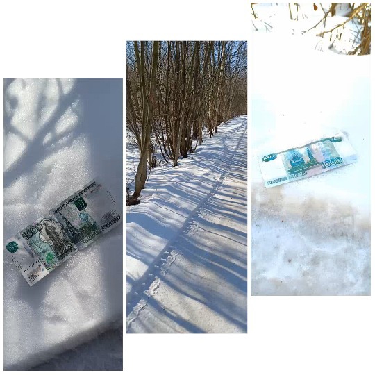 Banknote on Snow and Snowy Path