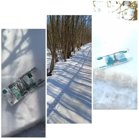 Banknote on Snow and Snowy Path