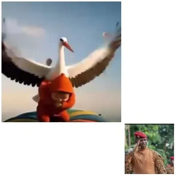 Stork and Soldier in Nature