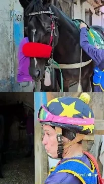 Preparing Horse Near Stable