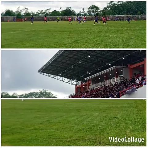 Soccer Match and Stadium Views