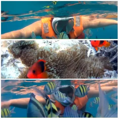 Snorkeling in Clear Blue Waters