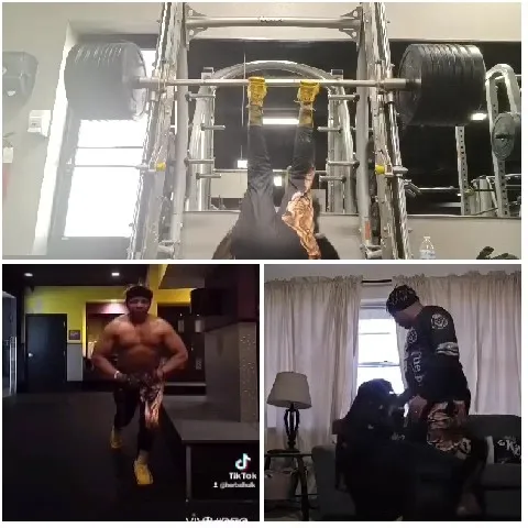 Inverted Exercise and Gym Interaction