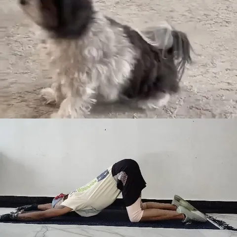 Dog and Yoga Pose