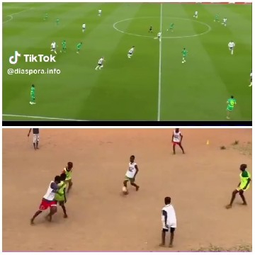 Professional Soccer Match and Casual Game