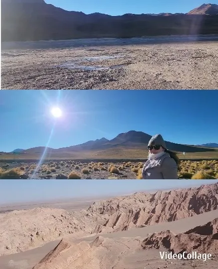 Diverse Desert Landscapes