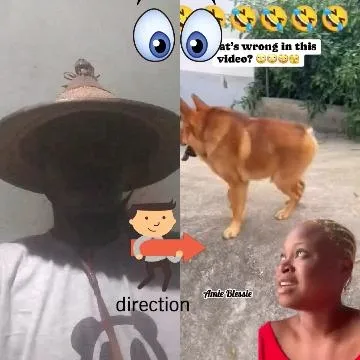 Person with Dog and Direction Sign
