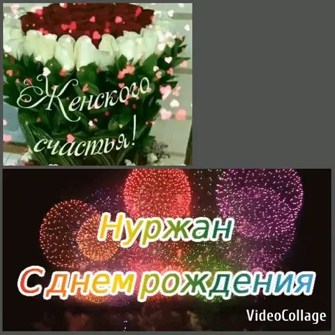 Roses and Fireworks for Celebration