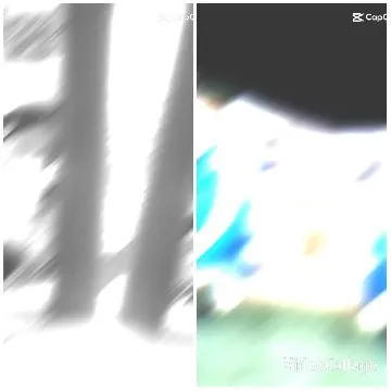 Abstract Shapes and Blurred Trees