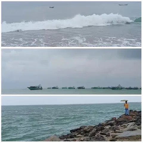 Scenes from the Sea
