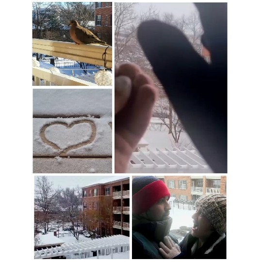Birds and Smiles in the Snow