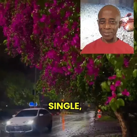 Car on Wet Road at Night