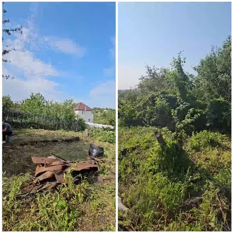 Garden Transformation in Progress