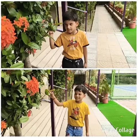 Boy Pointing at Red Flowers
