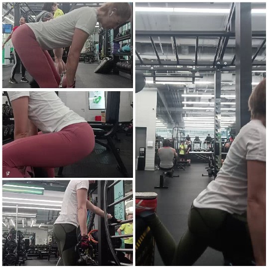 Gym Scene with Diverse Exercises