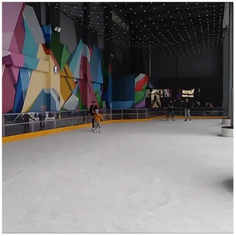 People Skating at Indoor Rink