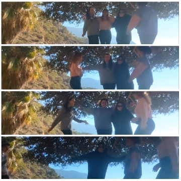 Group Outdoors Under a Tree