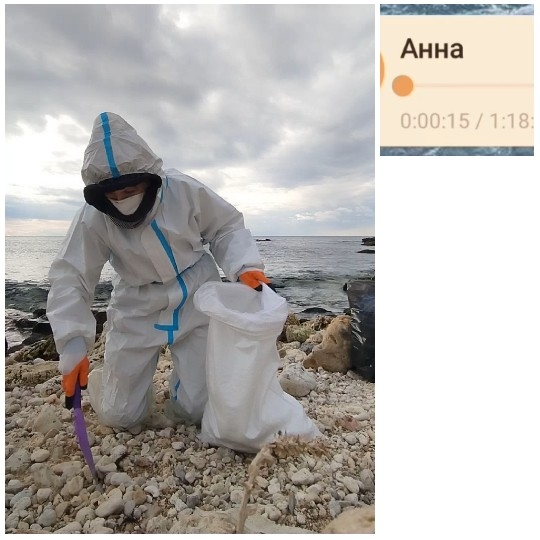 Person Collecting Samples by the Sea