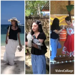 Beach Walk, Bird Interaction, Dance