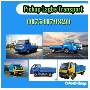 Blue and Yellow Pickup Trucks Displayed