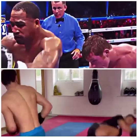 Boxers in Ring and Training