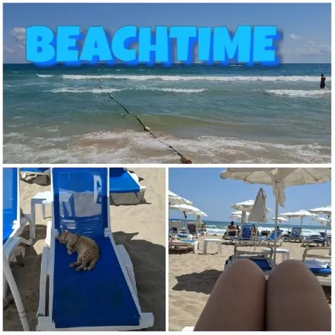 Beach Scenes with Cat and Chairs