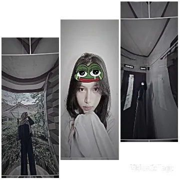 Frames with Cartoon Face Overlay