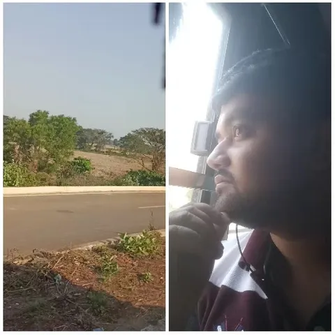 Outdoor Road and Indoor Window View