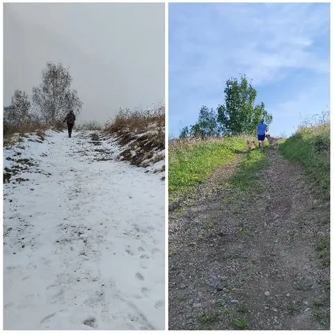Snowy and Grassy Pathways