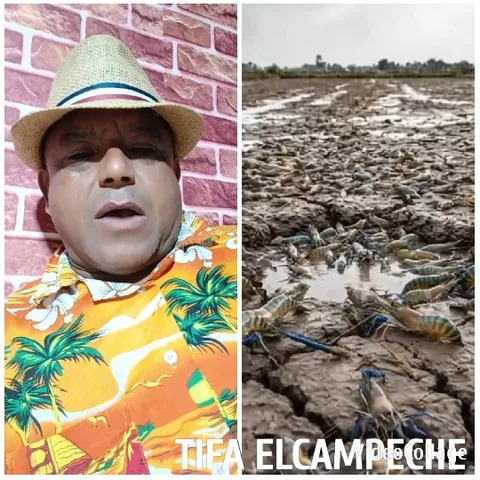Man in Tropical Shirt Outdoors