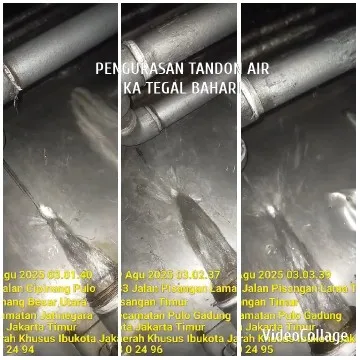 Cleaning Process In Jakarta